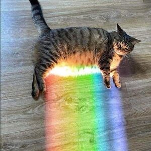 SOLD, DO NOT PURCHASE!!